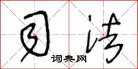 王冬龄司法草书怎么写