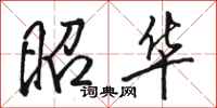 骆恒光昭华行书怎么写