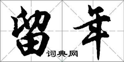 胡问遂留年行书怎么写