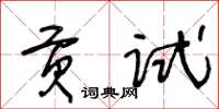 王冬龄贡试草书怎么写