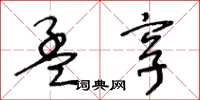 王冬龄孟享草书怎么写