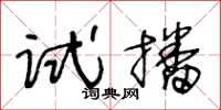 王冬龄试播草书怎么写