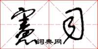王冬龄宪司草书怎么写