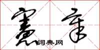 王冬龄宪章草书怎么写