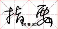 王冬龄指要草书怎么写