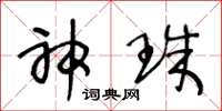 王冬龄神珠草书怎么写
