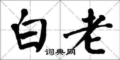 翁闿运白老楷书怎么写