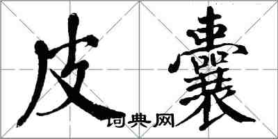 翁闿运皮囊楷书怎么写