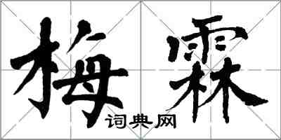 翁闿运梅霖楷书怎么写