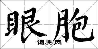 翁闿运眼胞楷书怎么写