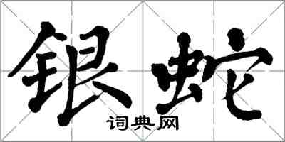 翁闿运银蛇楷书怎么写