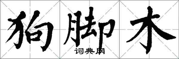 翁闿运狗脚木楷书怎么写