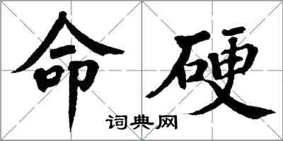 翁闿运命硬楷书怎么写