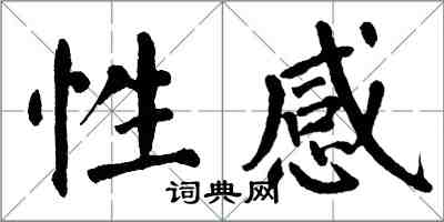 翁闿运性感楷书怎么写