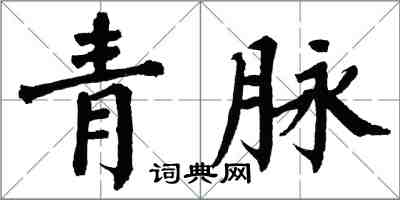 翁闿运青脉楷书怎么写