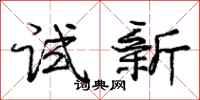 庞中华试新行书怎么写