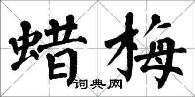 翁闿运蜡梅楷书怎么写