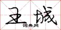 庞中华王城行书怎么写
