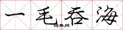 庞中华一毛吞海行书怎么写