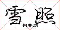 庞中华雪照行书怎么写
