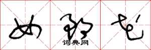 王冬龄女郎花草书怎么写
