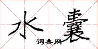 袁强水囊楷书怎么写