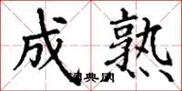 丁谦成熟楷书怎么写