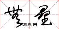 王冬龄无垒草书怎么写