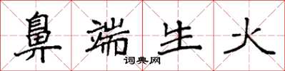 袁强鼻端生火楷书怎么写