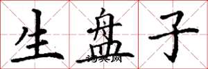 丁谦生盘子楷书怎么写
