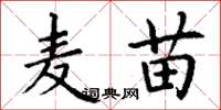 丁谦麦苗楷书怎么写
