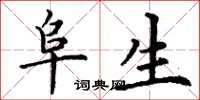 丁谦阜生楷书怎么写