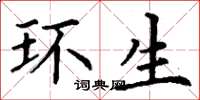 丁谦环生楷书怎么写