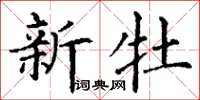 丁谦新牡楷书怎么写