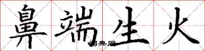 丁谦鼻端生火楷书怎么写