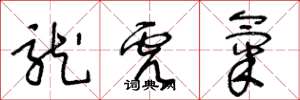 王冬龄龙虎气草书怎么写