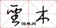 王冬龄圣木草书怎么写