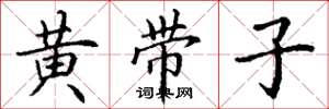 丁谦黄带子楷书怎么写