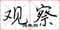 曾庆福观察行书怎么写