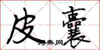 曾庆福皮囊行书怎么写