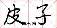 曾庆福皮子行书怎么写