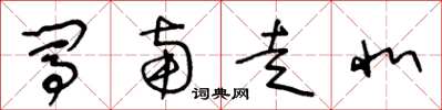 王冬龄闯南走北草书怎么写