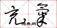 王冬龄充气草书怎么写