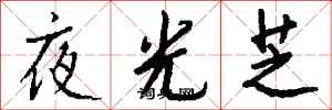 钱沛云夜光芝行书怎么写