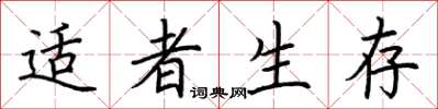 荆霄鹏适者生存楷书怎么写