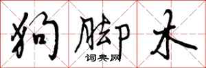 曾庆福狗脚木行书怎么写