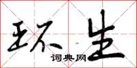 曾庆福环生行书怎么写