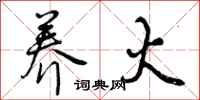 曾庆福养火行书怎么写