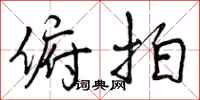 曾庆福俯拍行书怎么写