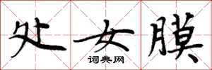 周炳元处女膜楷书怎么写